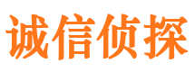 巴南外遇出轨调查取证